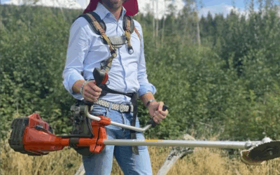 Kommentar: Variasjoner av sag